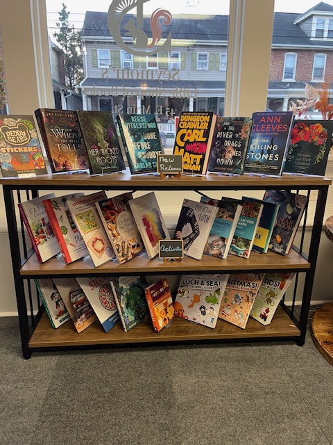 Bookcase full of books