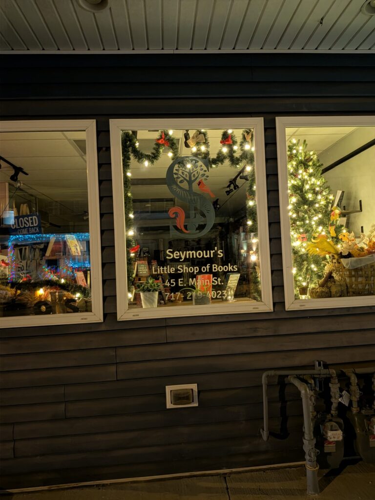 Front Window illuminated by Christmas Lights